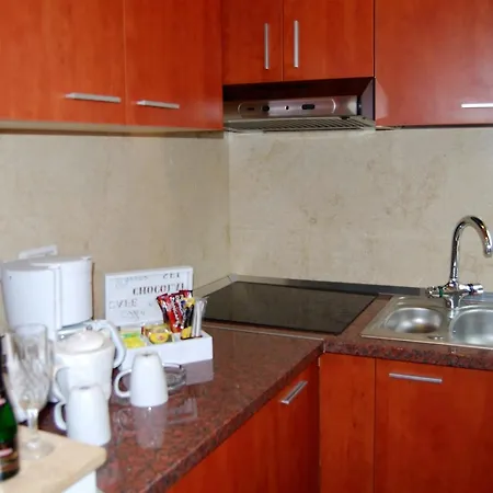 Apartment Luxury Doamnei 2 *